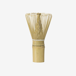 Bamboo