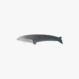 Rorqual Whale D